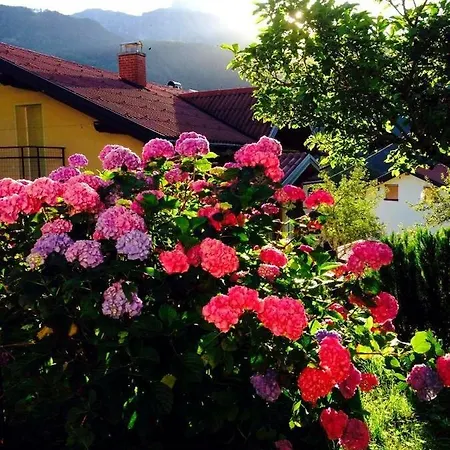Cottage Kobarid Σπίτι διακοπών
